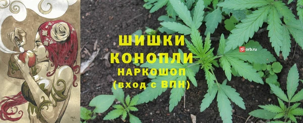 метадон Арсеньев