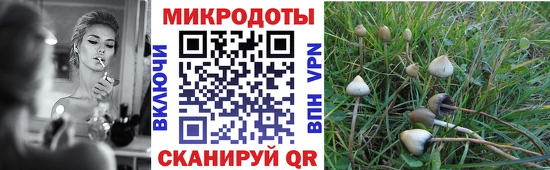 Псилоцибиновые грибы Magic Shrooms  Волгоград 